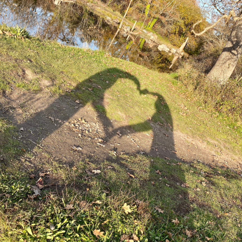 Heart-shaped connection formed by Arne Pedersen and partner in Victoria BC park, symbolizing inner guidance, love, and the journey to finding life purpose.